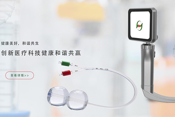 福建医用斑马导丝介绍
